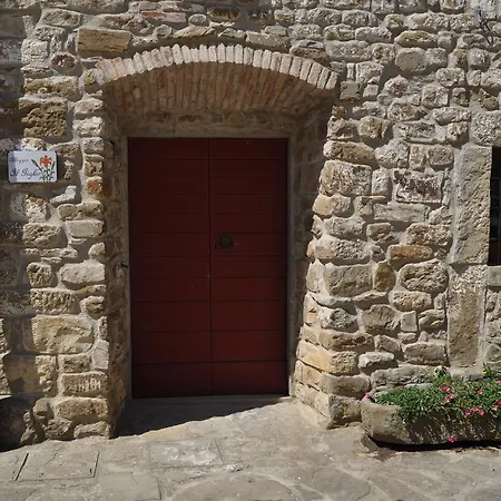 Azienda Agricola Palaia Pelago