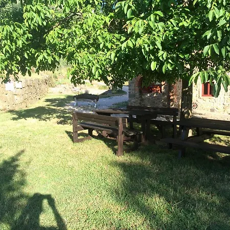 Farm stay Azienda Agricola Palaia
