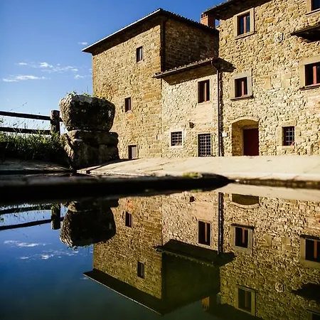 Farm stay Azienda Agricola Palaia