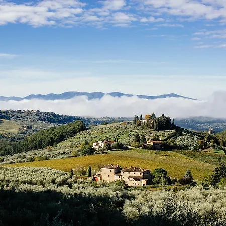 Azienda Agricola Palaia *