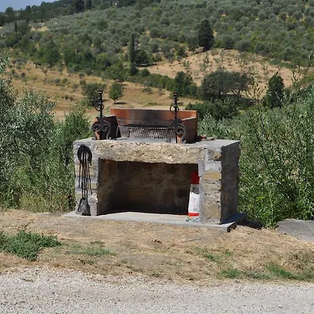 Azienda Agricola Palaia