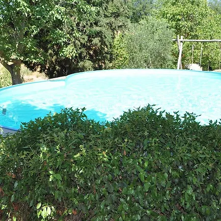 Azienda Agricola Palaia * Pelago