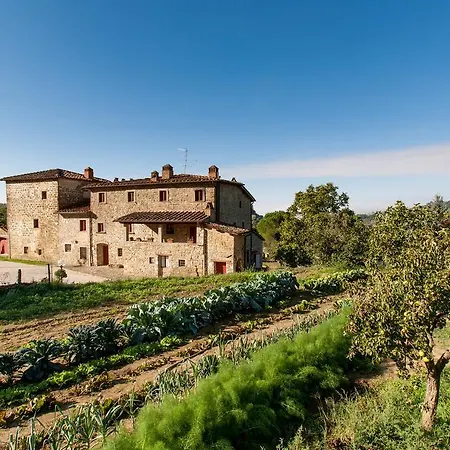 Farm stay Azienda Agricola Palaia
