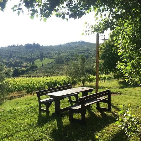 Azienda Agricola Palaia Pelago